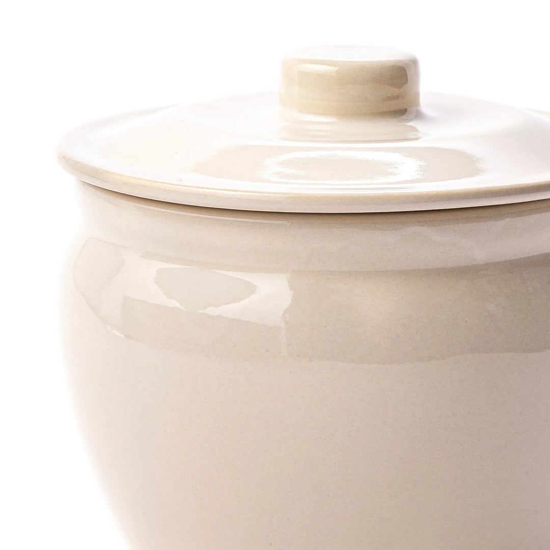 Japanese ceramic asazuke pickle jar with lid in natural glaze for fermenting and storing vegetables
