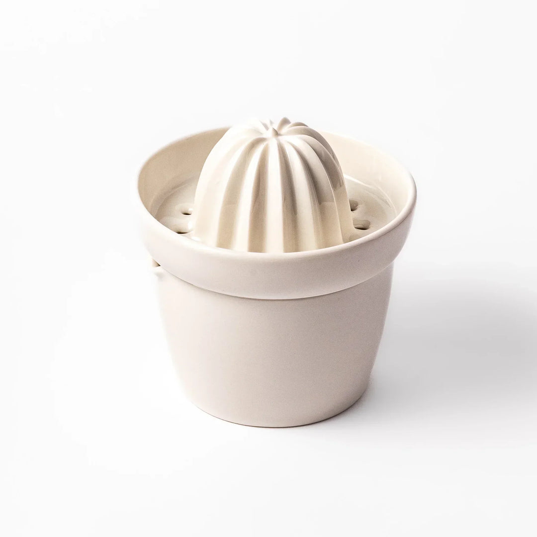 White Japanese ceramic citrus juicer with ridged reamer and strainer for squeezing lemons limes and citrus.