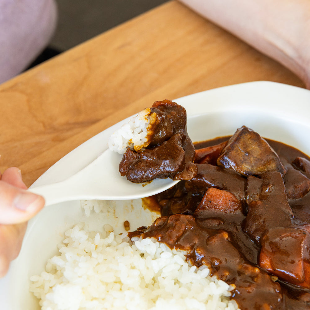 Ceramic curry plate with Japanese beef curry and rice served on oval white plate