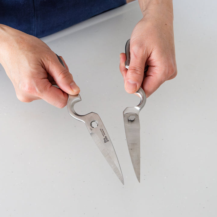 Japanese stainless steel kitchen shears separated into two pieces for easy cleaning