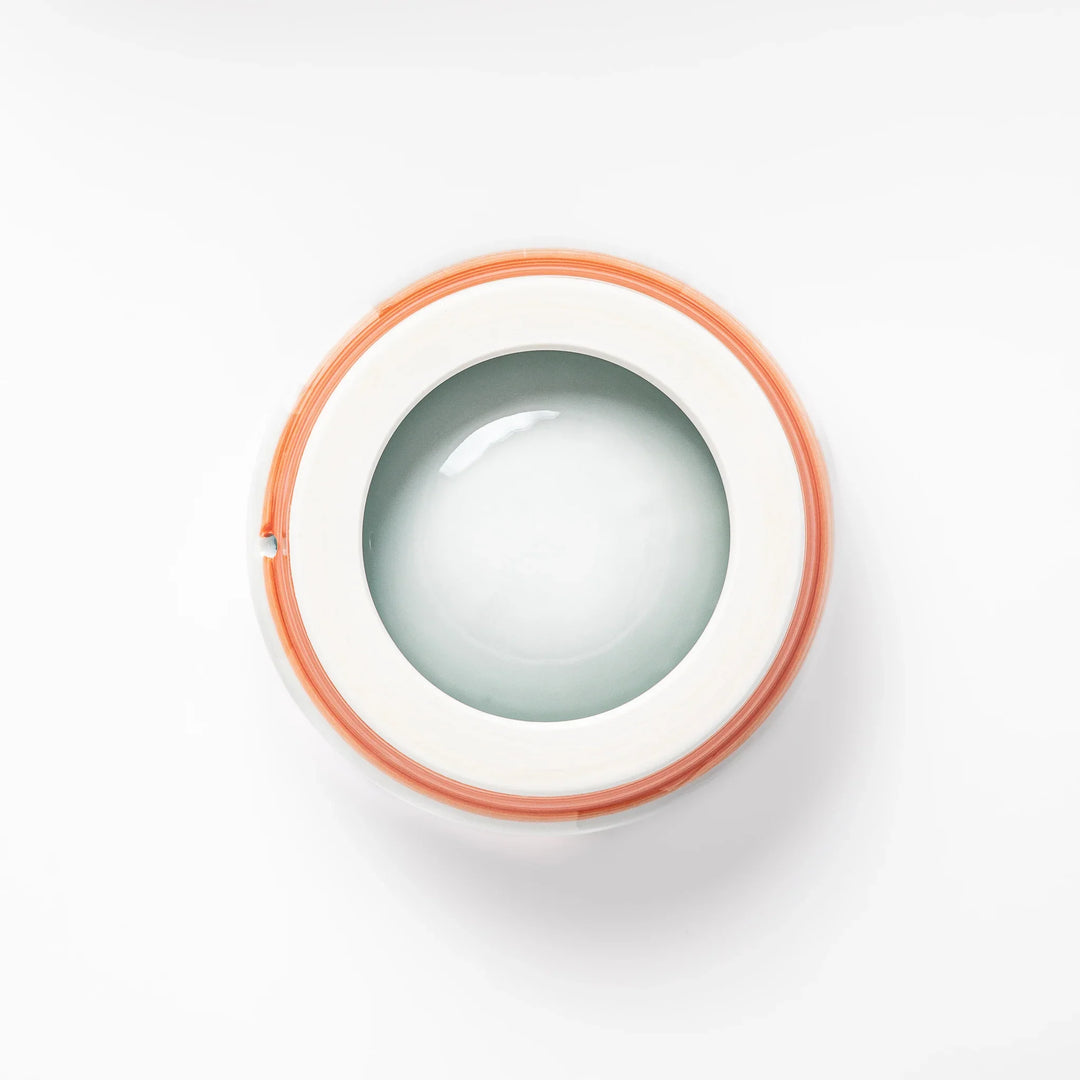 Japanese ceramic dog bowl with hand painted dog face designs and raised rim for pets