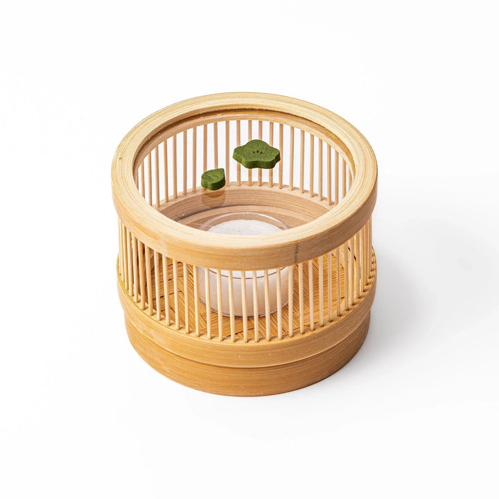 Japanese matcha pressed incense pieces in floral and leaf shapes, green scented incense for relaxation and home fragrance