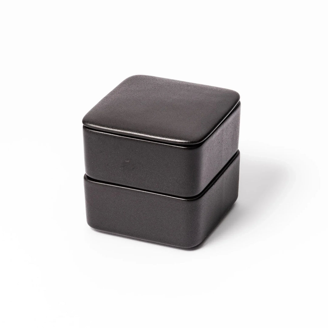 Sleek black Japanese porcelain two tier bento box set with minimalist design for modern meal presentation.