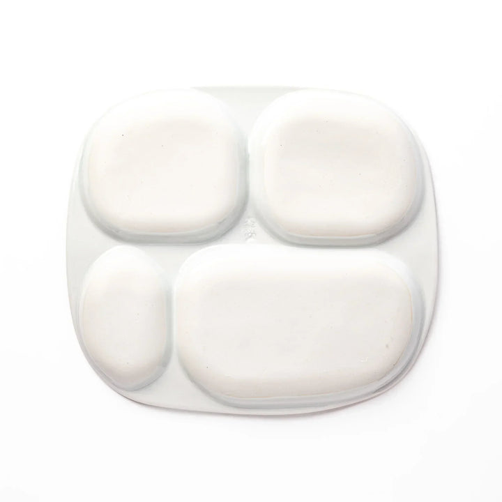 White ceramic kids divided plate with green T-Rex, purple pterodactyl, yellow grass and blue cloud accents