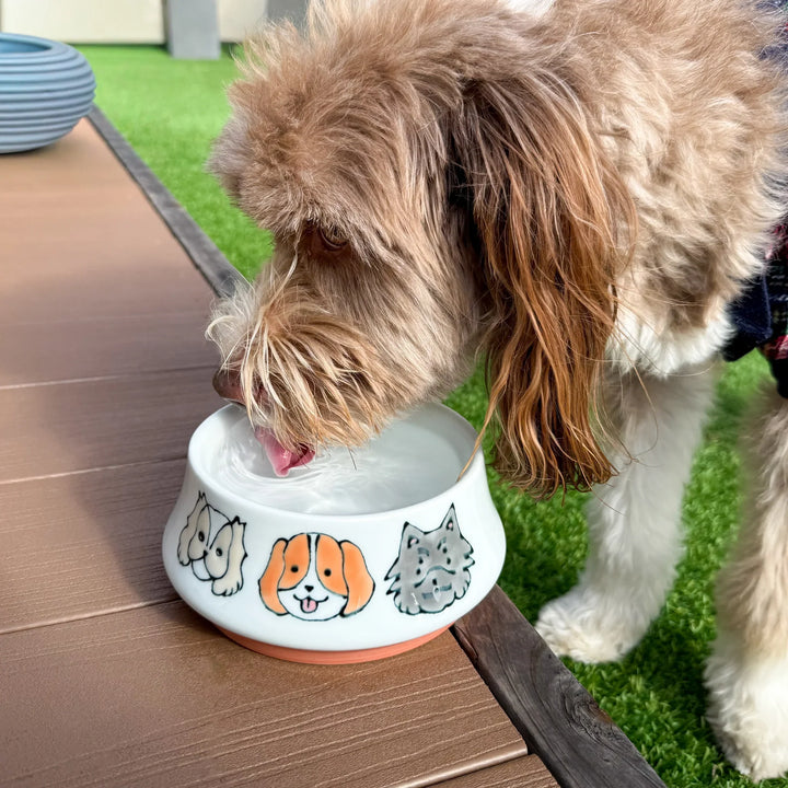 Japanese artisan ceramic dog bowl with hand-painted dog illustrations, shown in use as a dog drinks water outdoors.