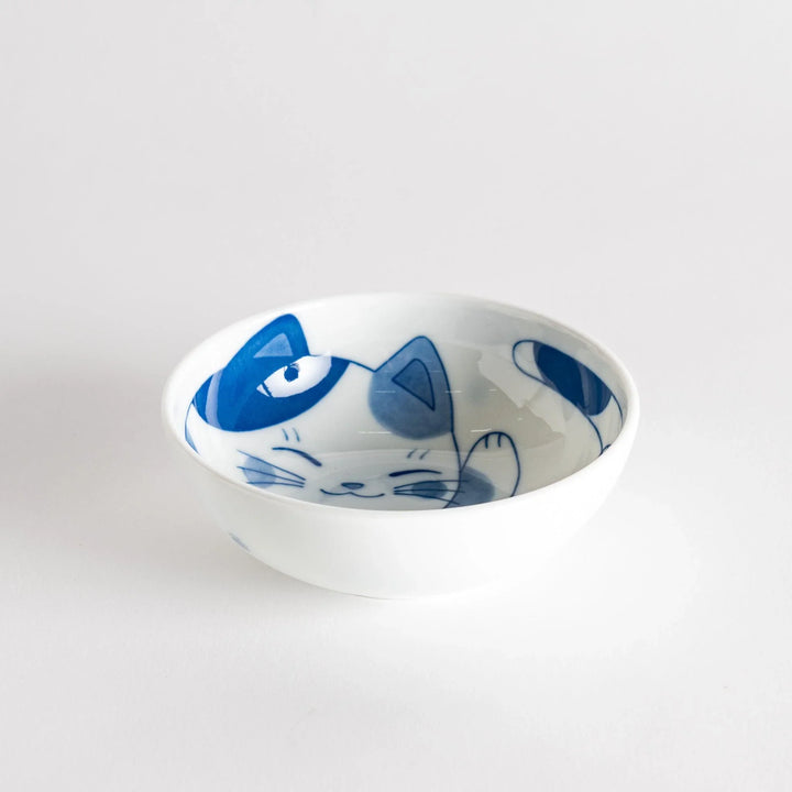 A dessert bowl featuring a playful blue and white cat with a relaxed expression.