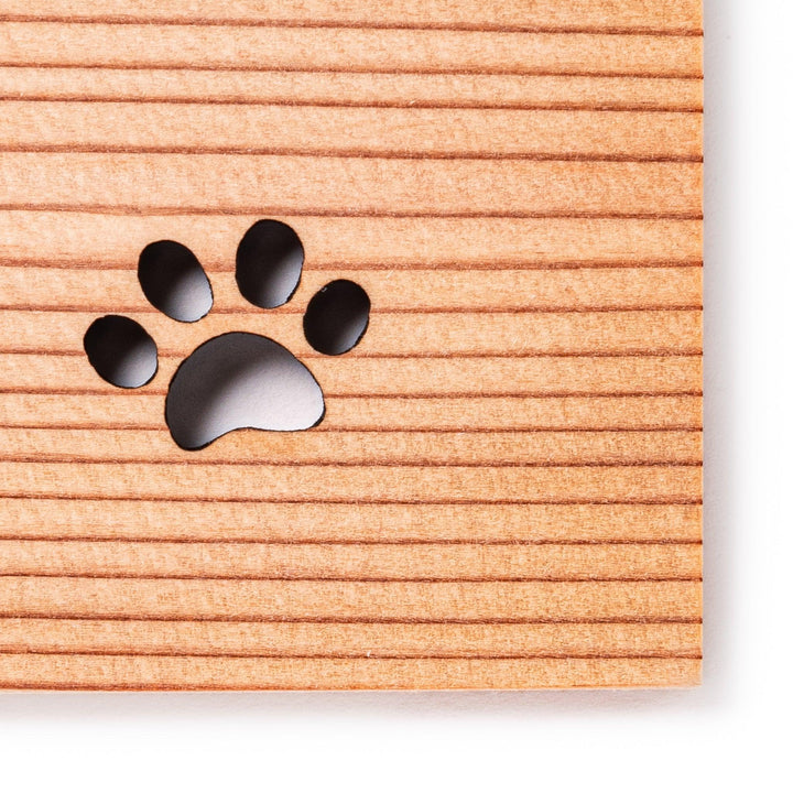 Square cedar mini coaster with two laser-cut cat paw prints, natural warm wood grain, perfect for small cups or glasses.