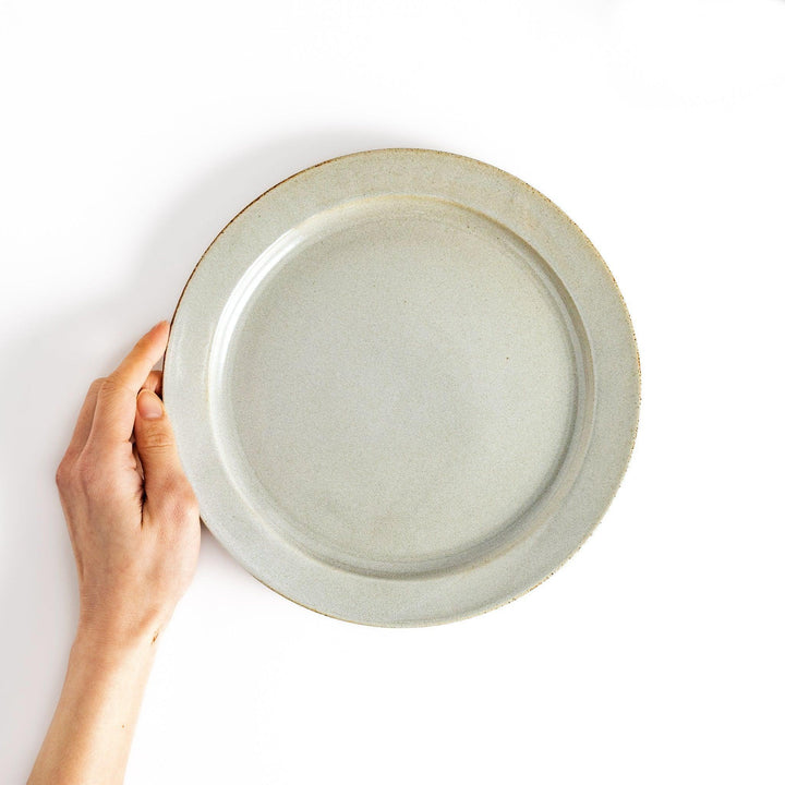 Hand holding a white ceramic dinner plate with a glossy finish, emphasizing its clean and classic look.