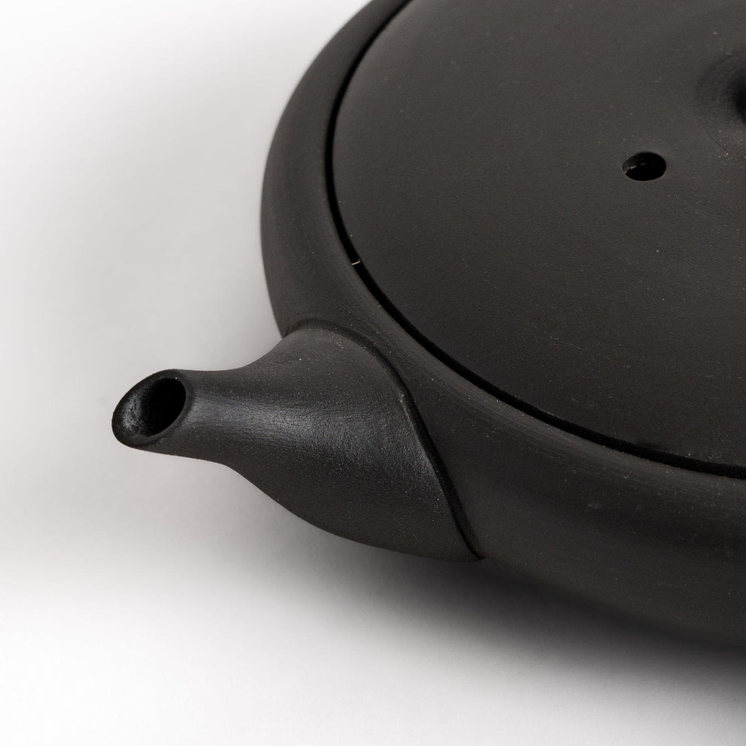Sleek black teapot with flat body and side handle offering minimalist design for elegant Japanese tea.