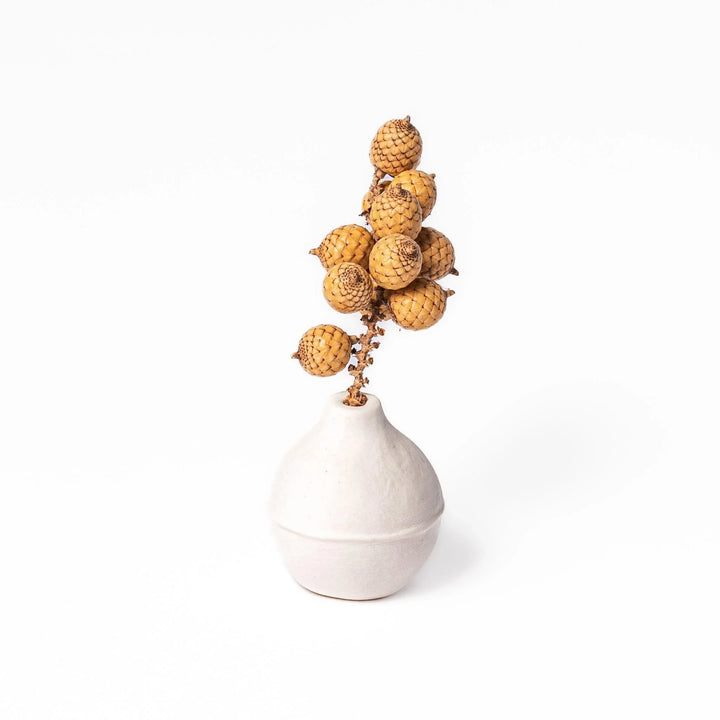 White ceramic bud vase with dried flowers, perfect for adding simple, elegant Japanese-inspired decor to any space.