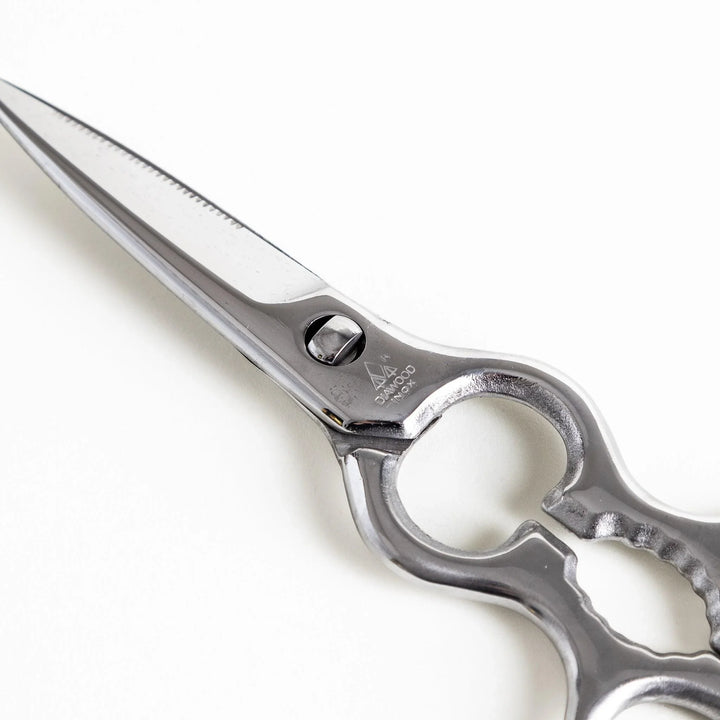 Silver kitchen shears with detachable blades and sleek design ideal for precise cutting and cleaning.