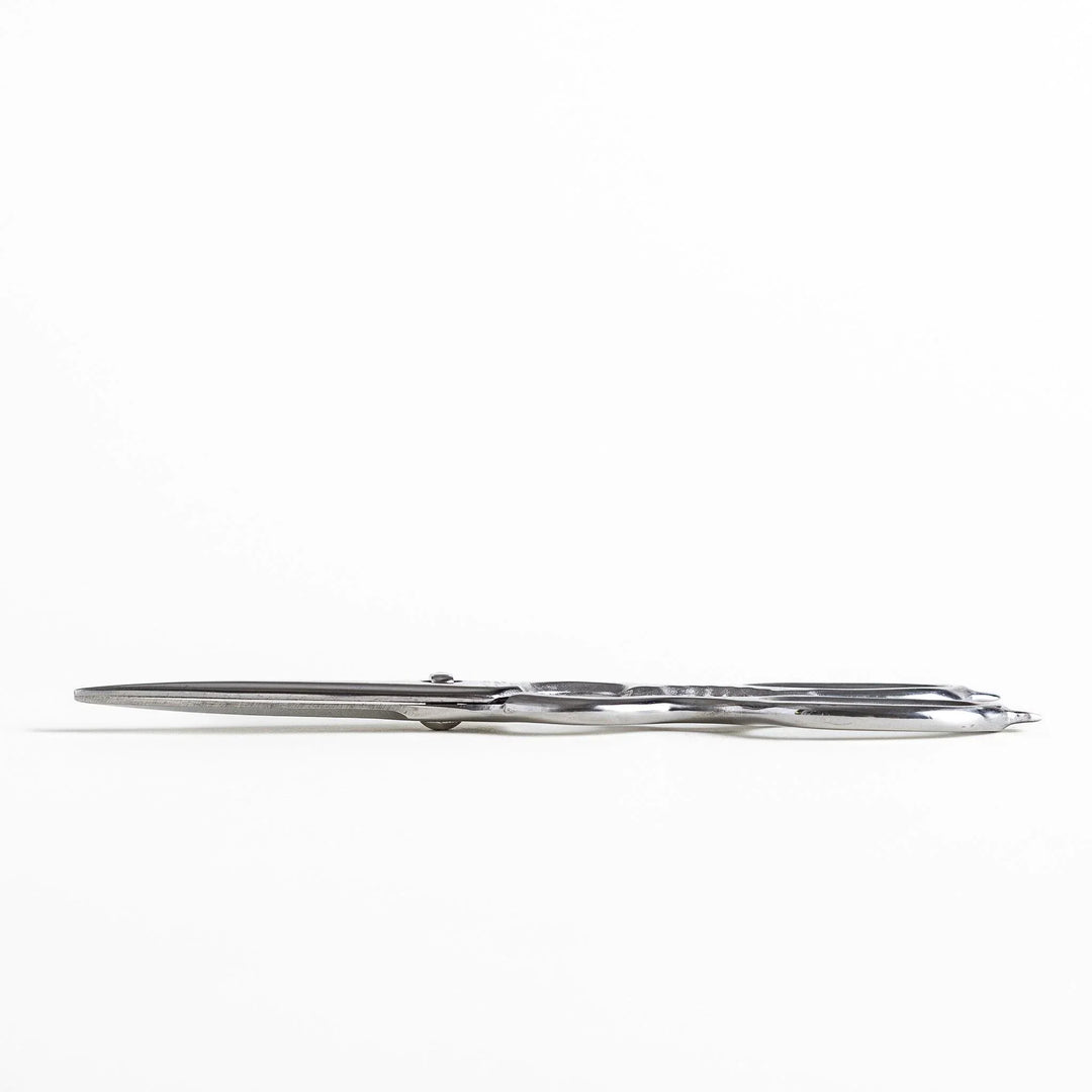 Silver kitchen shears with detachable blades and sleek design ideal for precise cutting and cleaning.