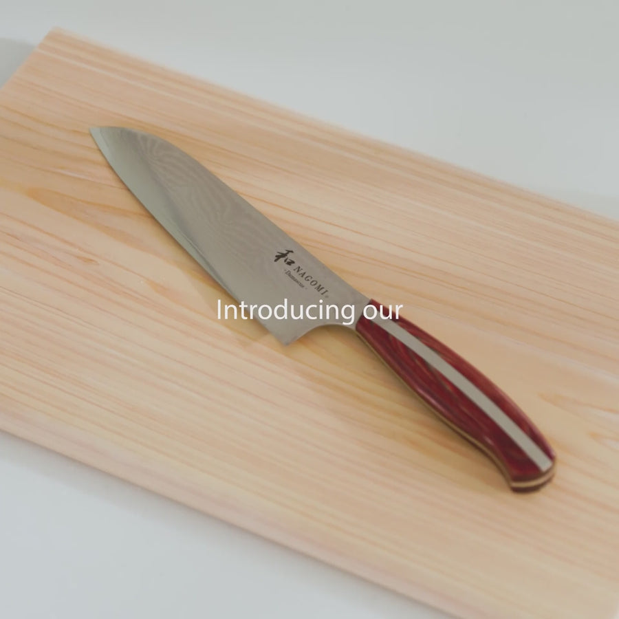 Japanese Nagomi kitchen knife being hand sharpened by a skilled craftsman in a traditional workshop showing blade detail