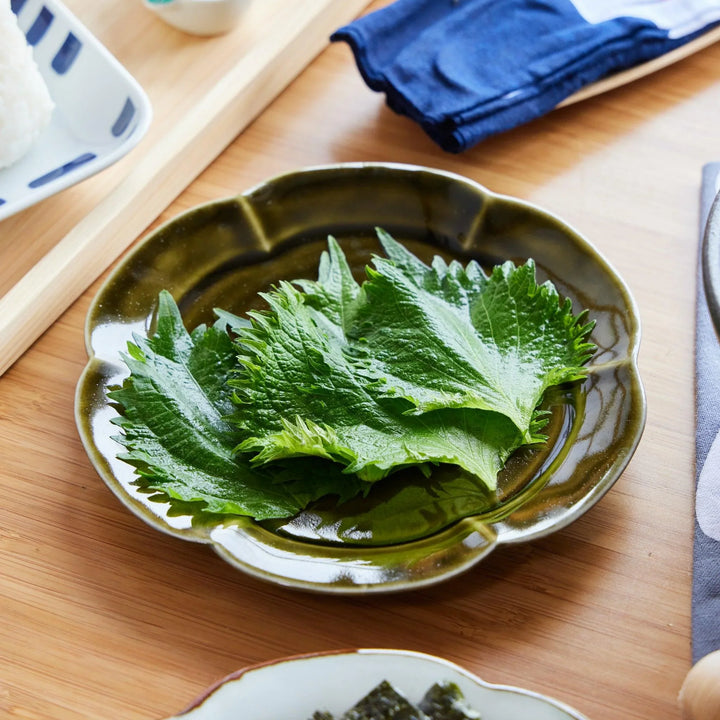 Glossy olive green rinka dessert plate with petal-like edges, beautifully framing and elevating any dish you serve.