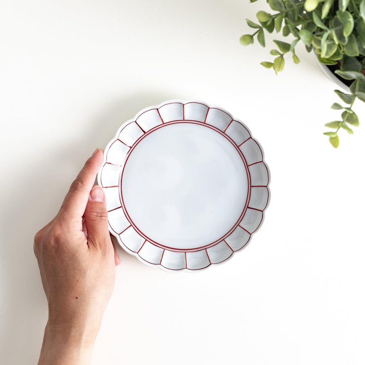 White dessert plate with scalloped edges, outlined in a thin blue or red line.